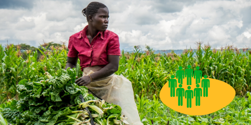 Projets de développement communautaire